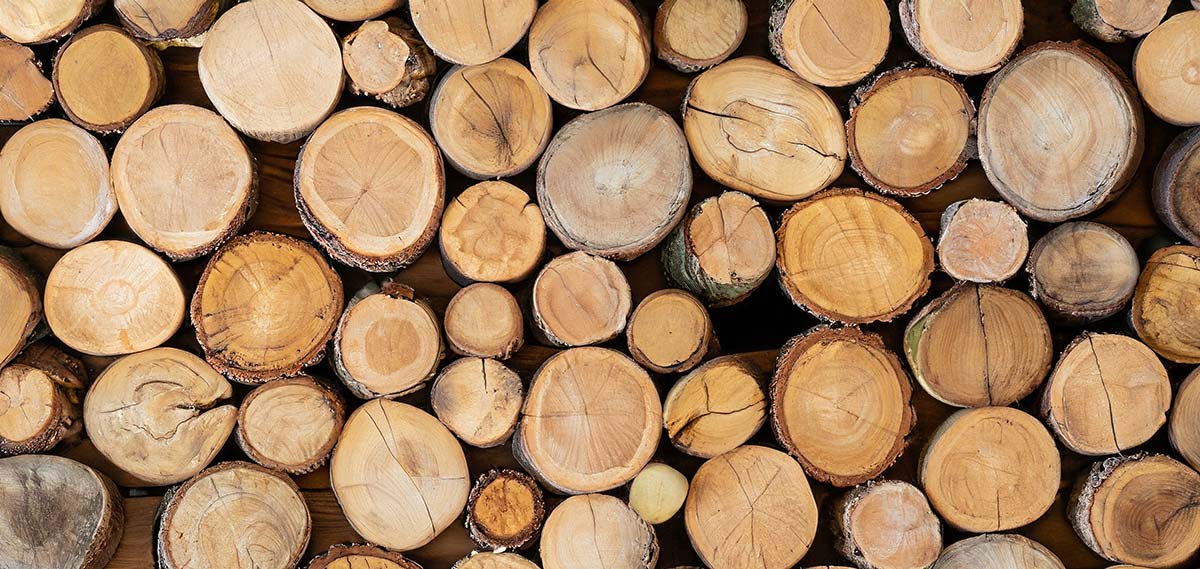 stacked oak logs